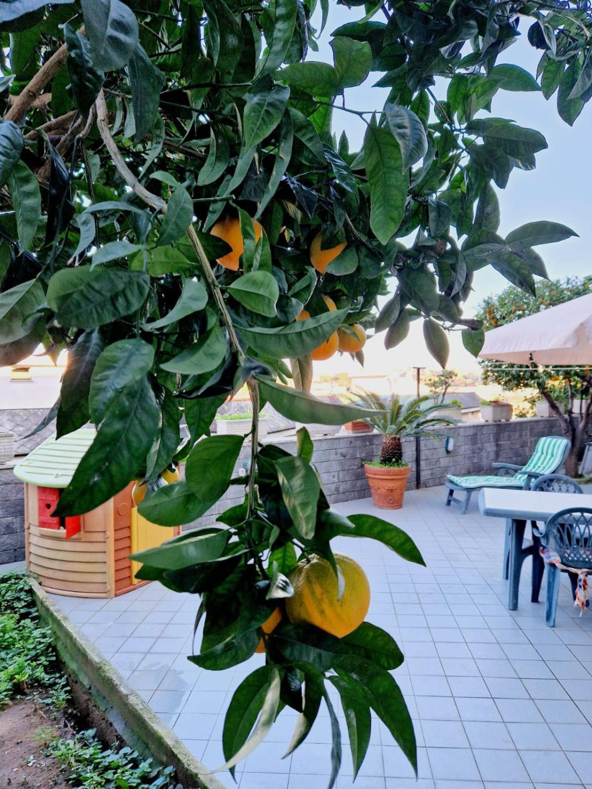 Fuga A Napoli Apartment Zewnętrze zdjęcie