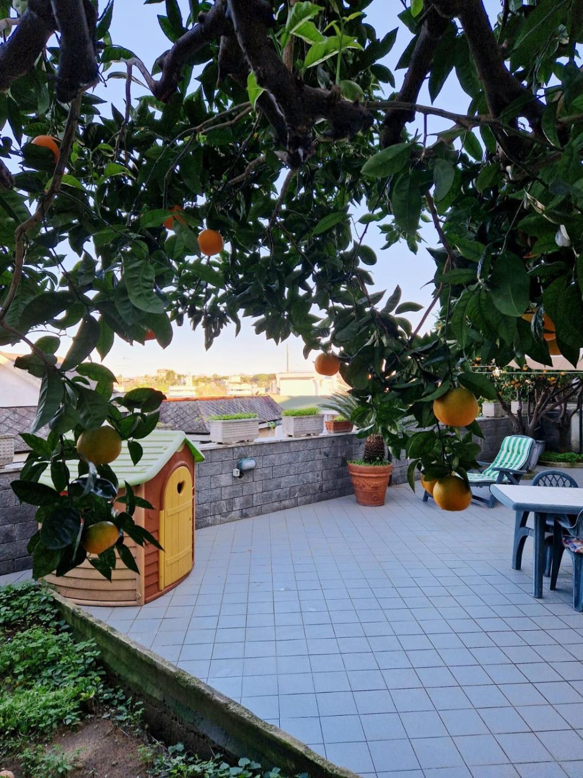 Fuga A Napoli Apartment Zewnętrze zdjęcie